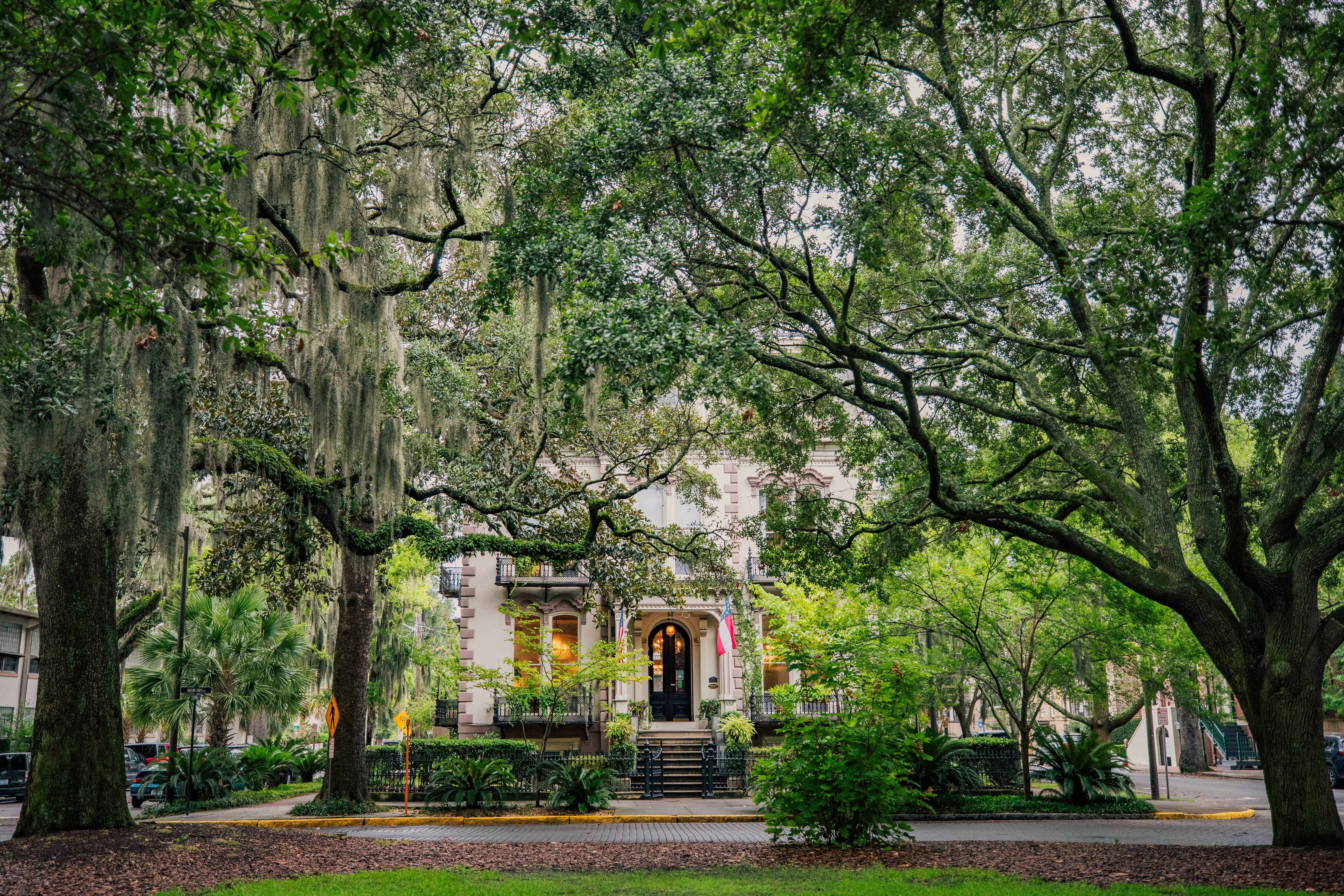 Savannah historic district with Spanish moss-draped oak trees