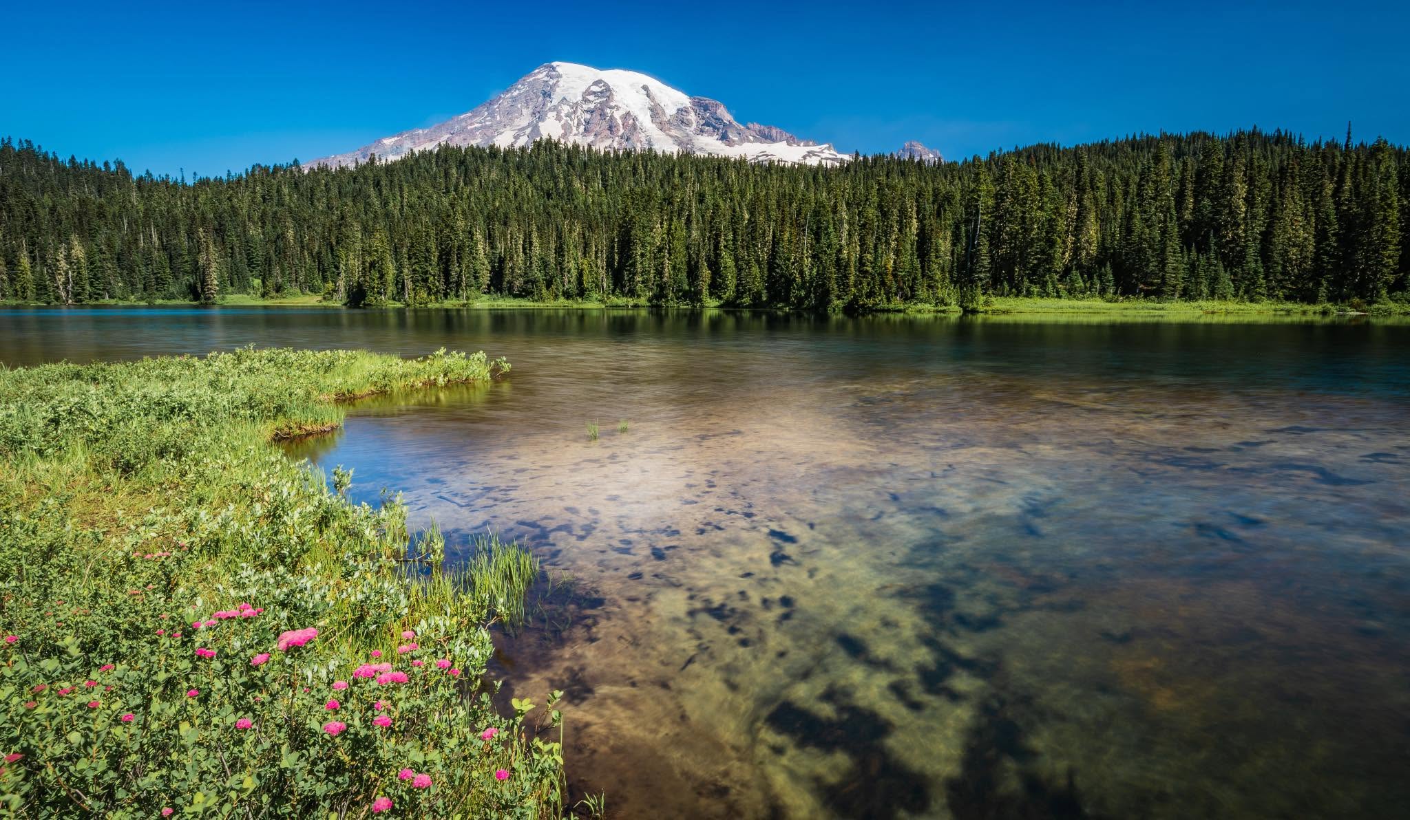 Mount Rainier reflected in the still water of Reflection Lakes